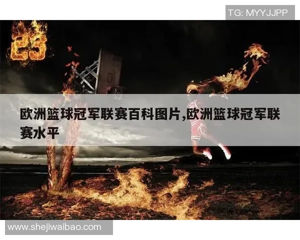 立陶宛与比利时篮球对决精彩回顾与赛场亮点分析