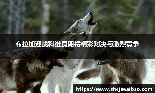 布拉加迎战科维良期待精彩对决与激烈竞争